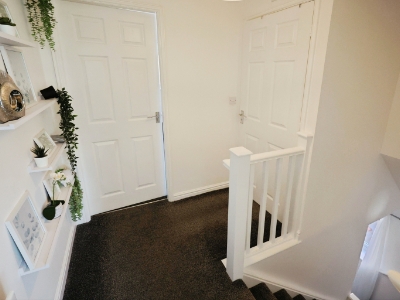 Picture 7